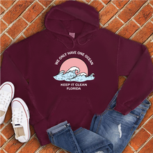 Load image into Gallery viewer, Keep It Clean Florida Hoodie