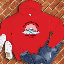 Load image into Gallery viewer, Keep It Clean Florida Hoodie