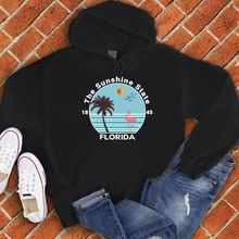 Load image into Gallery viewer, Florida Flamingo Hoodie