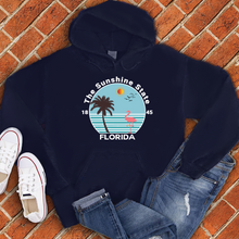 Load image into Gallery viewer, Florida Flamingo Hoodie