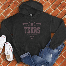 Load image into Gallery viewer, Texas Vintage Lone Star Hoodie
