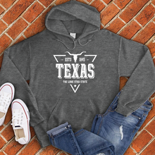 Load image into Gallery viewer, Texas Vintage Lone Star Hoodie