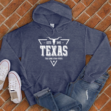 Load image into Gallery viewer, Texas Vintage Lone Star Hoodie