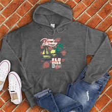 Load image into Gallery viewer, Florida Find Paradise Hoodie