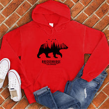 Load image into Gallery viewer, Breckenridge Bear Hoodie