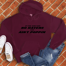 Load image into Gallery viewer, If You Ain’t Got No Haters Hoodie
