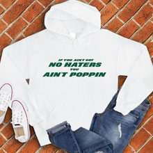 Load image into Gallery viewer, If You Ain’t Got No Haters Hoodie
