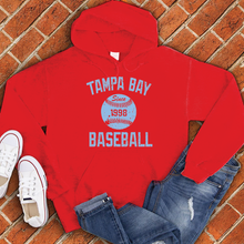 Load image into Gallery viewer, Tampa Bay Baseball Hoodie
