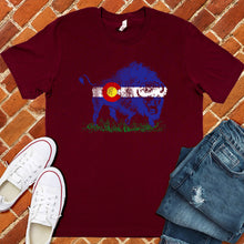 Load image into Gallery viewer, Colorado Buffalo Tee
