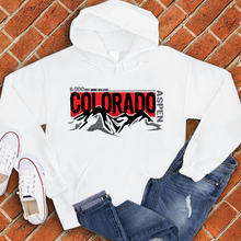 Load image into Gallery viewer, Aspen Elevation Hoodie

