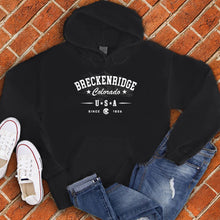 Load image into Gallery viewer, Sketched Breckenridge Hoodie
