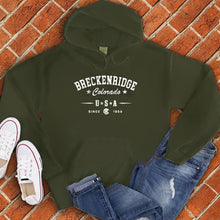 Load image into Gallery viewer, Sketched Breckenridge Hoodie
