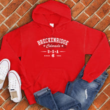Load image into Gallery viewer, Sketched Breckenridge Hoodie
