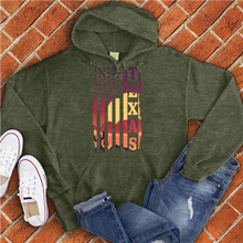 Load image into Gallery viewer, Texas Sunset Desert Hoodie
