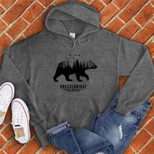 Load image into Gallery viewer, Breckenridge Bear Hoodie
